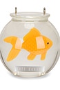 view 6 of 5 Goldfish Bag in Clear