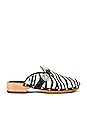 view 1 of 5 Allegra Pony Clog in Zebra