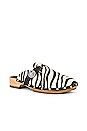 view 2 of 5 Allegra Pony Clog in Zebra