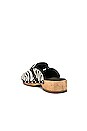 view 3 of 5 Allegra Pony Clog in Zebra