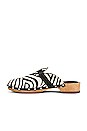 view 5 of 5 Allegra Pony Clog in Zebra