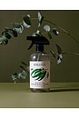 view 2 of 3 Multi-Purpose Bathroom Cleaner in Eucalyptus