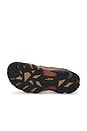 view 6 of 6 Arroyo Ii-M in Black Olive & Bombay Brown