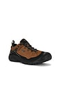 view 2 of 6 ZAPATILLA DEPORTIVA TARGHEE in Bison & Black