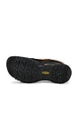 view 6 of 6 ZAPATILLA DEPORTIVA TARGHEE in Bison & Black