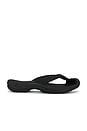 view 2 of 5 Waimea Tg-M in Black & Black