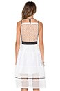 view 3 of 5 Mixed Lace Dress in White Multi