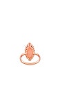 view 3 of 3 ANILLO GWENYTH in Rose Gold & Blush Wood