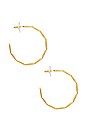view 2 of 2 Brooke Earrings in Gold