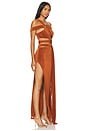 view 2 of 5 Slinky Maxi Dress in Terracotta