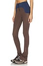 view 3 of 6 Joyce Legging in Brown & Navy