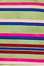 view 5 of 5 Celeste Stripes Tee in Laurel Green