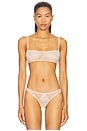 view 1 of 4 Dahlia Lace Bandeau in Blush