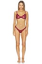 view 6 of 7 Gifting Thong French Lessons Thong Trio in Ruby