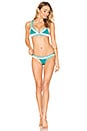view 4 of 4 Liv Bikini Bottom in Jade & Multi