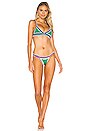 view 4 of 4 TOP BIKINI CLO in Emerald & Multi