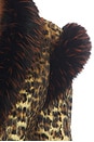 view 6 of 5 Elena Leopard Jacket in Leopard Print