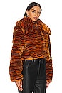 view 3 of 6 Faux Fur Coat in Tiger