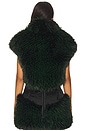 view 3 of 4 Lina Faux Fur Green Vest Top in Green