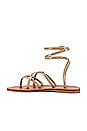 view 5 of 5 Zenobie Sandal in Mira Moreda