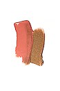 view 3 of 3 DUO VISAGE FLUSH AND GLOW in Sunlight Glow