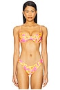 view 1 of 4 Ditzy Underwire Bra Bikini Top in Honey Baby