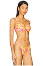 view 2 of 4 Ditzy Underwire Bra Bikini Top in Honey Baby