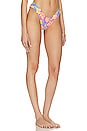 view 2 of 4 BRAGUITA BIKINI V CHEEKY in Bermuda Bloom