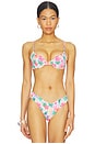 view 1 of 5 Slim Underwire Bikini Top in Island Escape