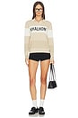 view 4 of 4 Coastal Stripe Knit Polo Top in Light Beige