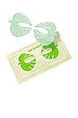 view 1 of 1 Leaf Eye Mask 5 Pack in 