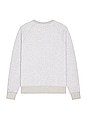 view 2 of 3 Big Cat Raglan Sweatshirt in Heather Grey