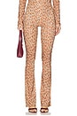 view 1 of 6 Halcyon Legging in Scorched Flower