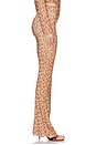 view 3 of 6 Halcyon Legging in Scorched Flower