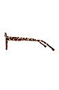 view 3 of 3 Haper in Tortoise
