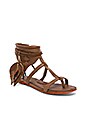 view 2 of 5 SANDALIAS GLADIADOR ROQUEL in Chestnut