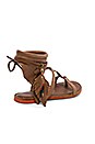 view 4 of 5 SANDALIAS GLADIADOR ROQUEL in Chestnut