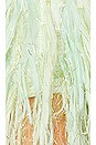 view 4 of 4 The Flamingo Kaftan Mini in Pistachio