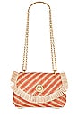 view 1 of 5 The Lalo Mini Bag in Straw Terracotta