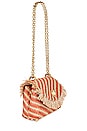 view 3 of 5 The Lalo Mini Bag in Straw Terracotta