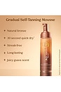 view 7 of 10 Gradual Self Tanning Mousse in 