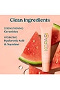 view 7 of 9 Lip Love Moisture Balm SPF 30 in Watermelon