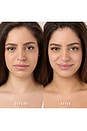 view 6 of 8 BRONZEADOR FACIAL E CORPORAL HEAD-TO-TOE BRONZE & GO in 