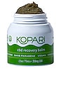 view 1 of 3 CBD Recovery Balm in 