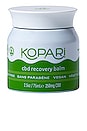 view 2 of 3 CBD Recovery Balm in 