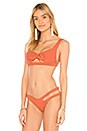 view 2 of 4 TOP BIKINI MOLLY in Terracotta