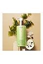 view 7 of 8 Nourishing Hand & Body Lotion in 