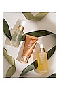 view 4 of 6 Nourish & Glow Trio in 