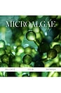 view 4 of 8 Active Algae Calming Cleansing Balm in 