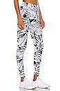 view 2 of 4 Drive Paradise High Rise Legging in Paradise